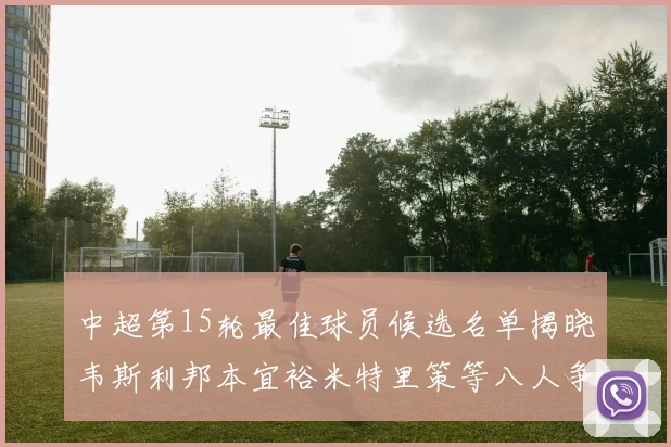 中超第15轮最佳球员候选名单揭晓韦斯利邦本宜裕米特里策等八人争夺荣誉