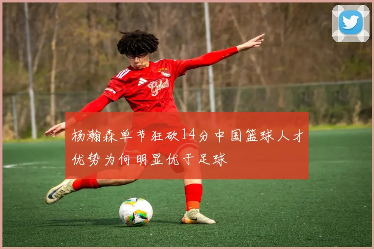 杨瀚森单节狂砍14分中国篮球人才优势为何明显优于足球